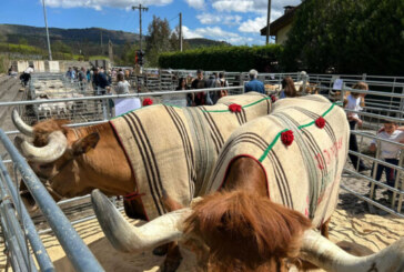 Boroako III. Ganadu eta Artisau Azoka egingo dute domekan