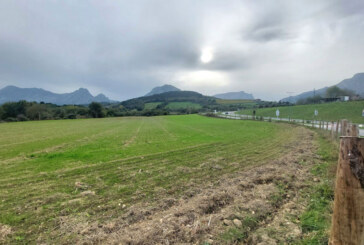 Durango habilitará 37 huertos urbanos ecológicos en Eguzkitza para finales de año