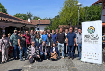 La avispa asiática da el salto a zonas urbanas de Durangaldea