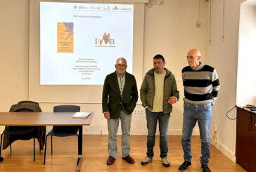 Archivado el proyecto que preveía una línea de alta tensión en Mallabia